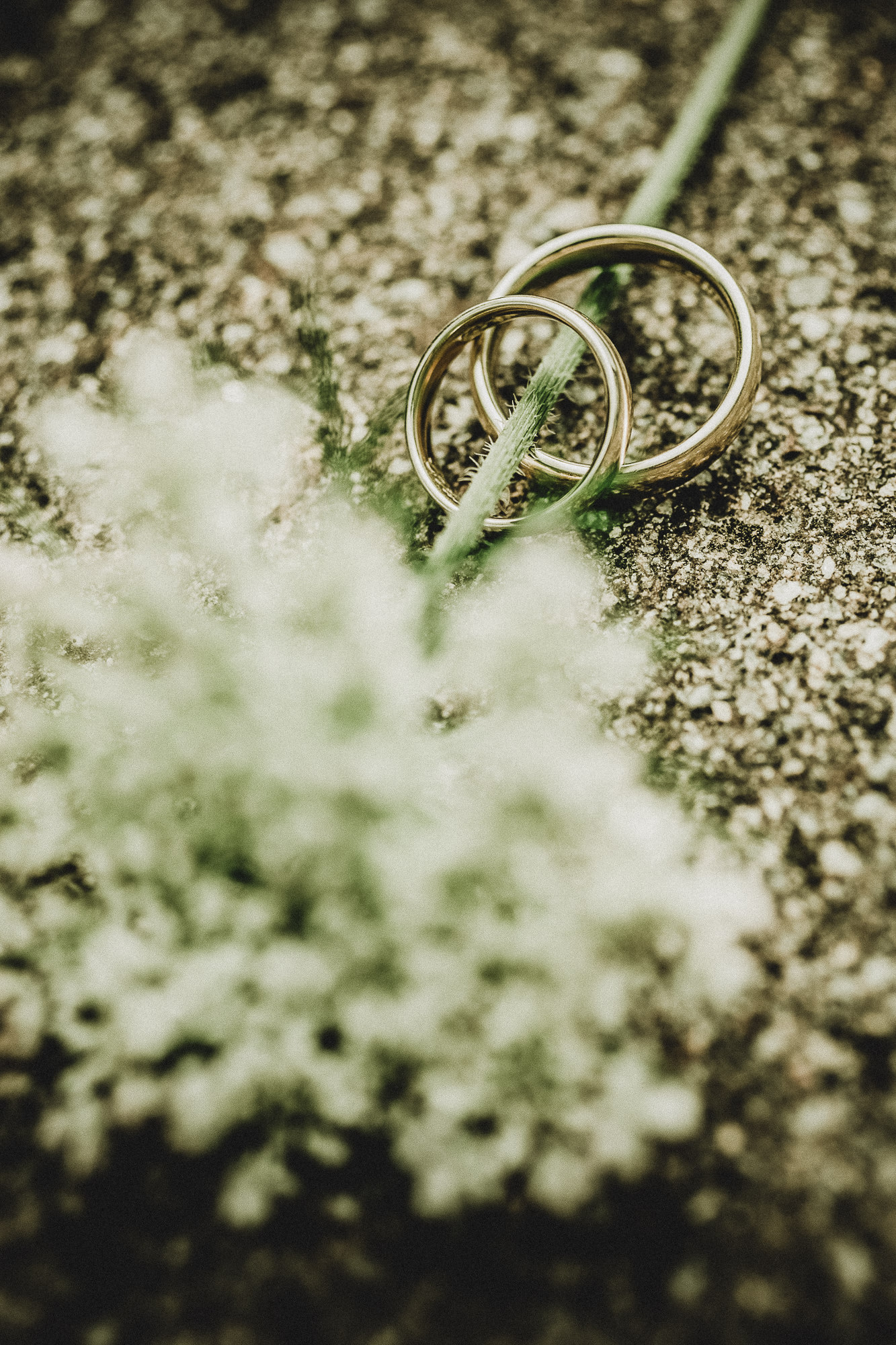 Export x3 036 JC 580 Beispiele Eva 2016